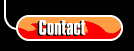 contact heading
